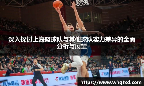深入探讨上海篮球队与其他球队实力差异的全面分析与展望