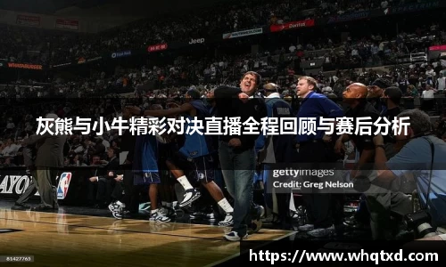 灰熊与小牛精彩对决直播全程回顾与赛后分析